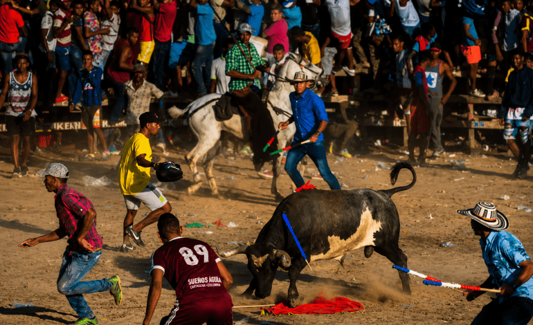 Corralejas clandestinas en Caucasia: hombre murió tras ser embestido por un toro