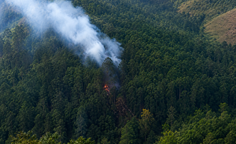 Voraz incendio forestal en el cerro Manzanillo pone en alerta a Itagüí