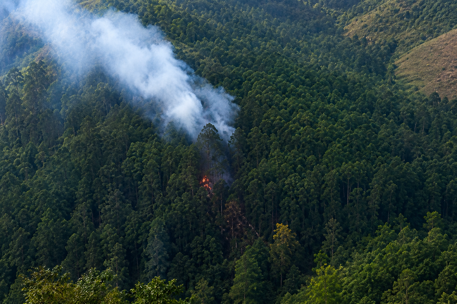 Voraz incendio forestal en el cerro Manzanillo pone en alerta a Itagüí