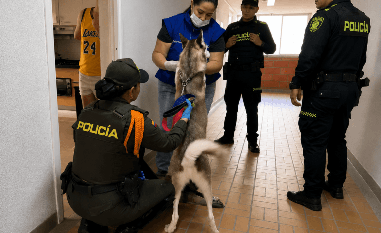 2 perros en Bello fueron revisados por autoridades tras denuncia de presunto maltrato.