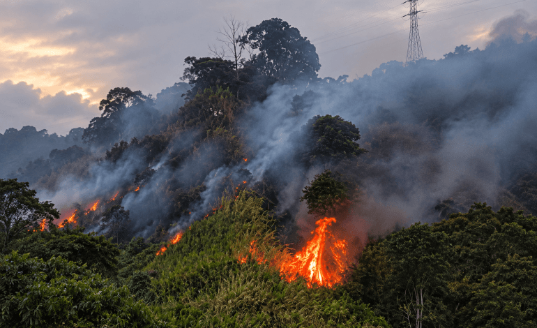 Incendio forestal en la vereda Buga del corregimiento Altavista en Medellín