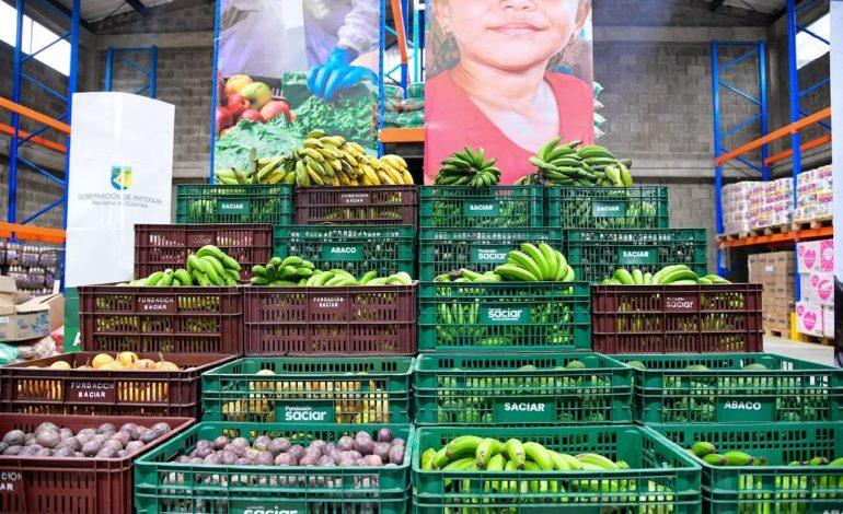 Canastas con plátanos y otros productos agrícolas en el Banco de Alimentos de Urrao.