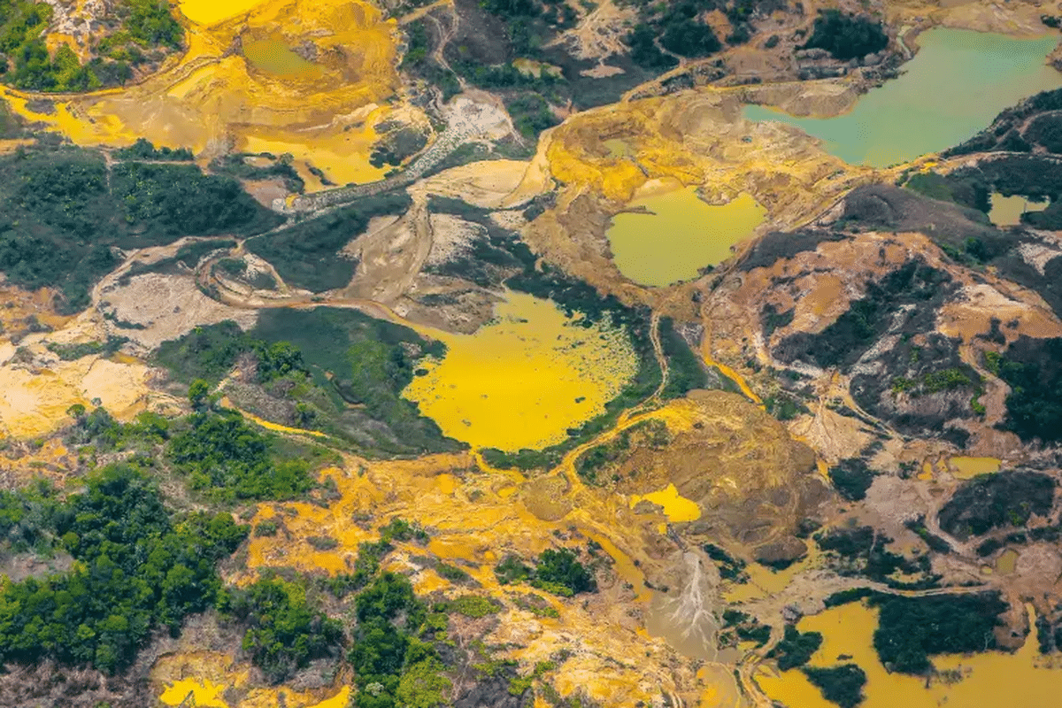 Minería ilegal destruyó más de 14.000 hectáreas en Antioquia: siete veces el tamaño de Itagüí